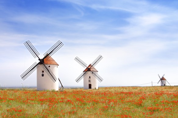 shutterstock_214356853